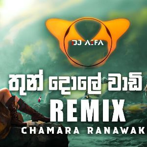 Thun Dole Wadi Wee (Remix) - DJ AIFA