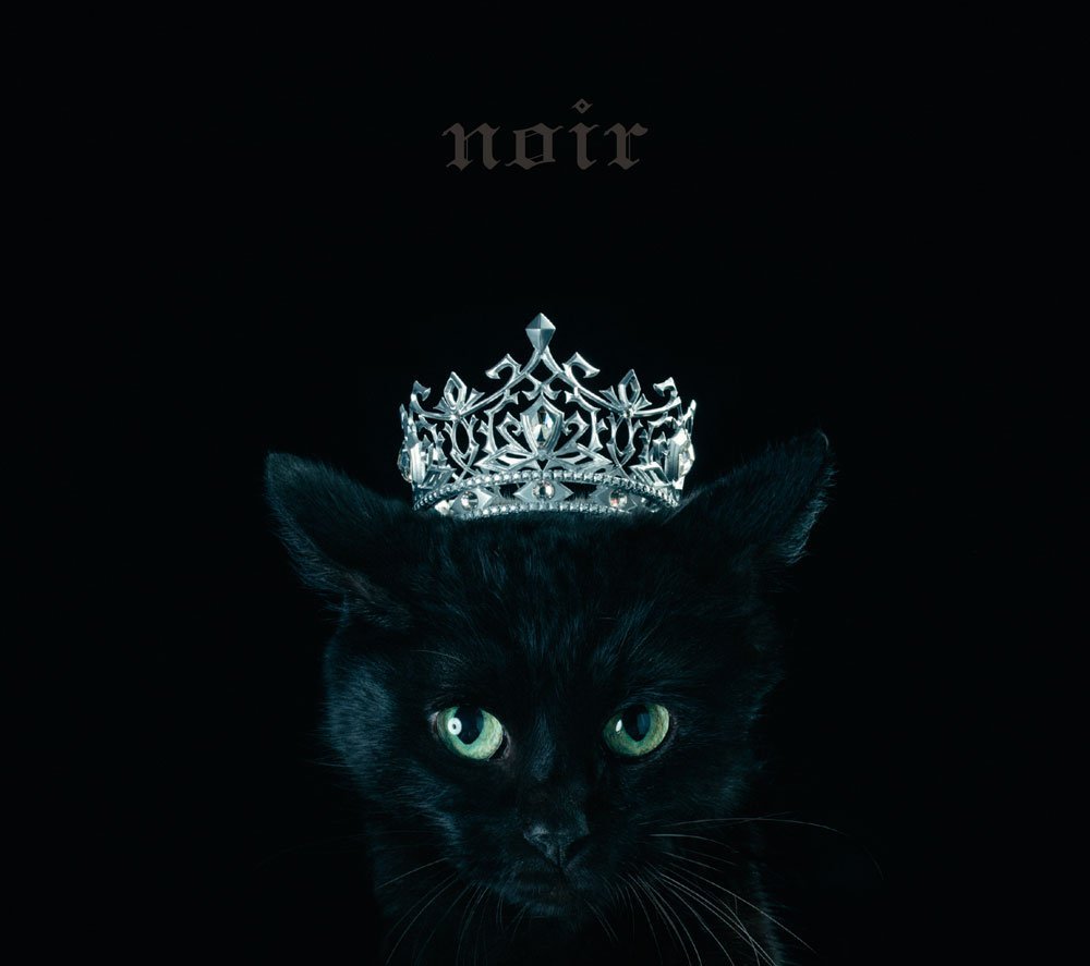Aimer - Brave Shine