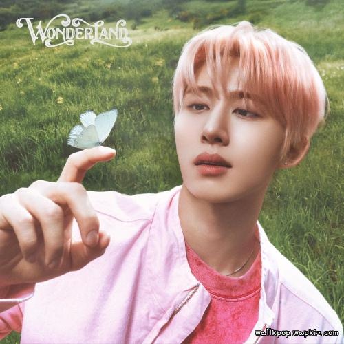 B.I - Firefly B.I - Firefly