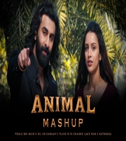 ANIMAL MASHUP : Pehle Bhi Main x Dil Ko Karaar Aaya x Tujhe Kitna Chahne Lage (Lofi Mashup)