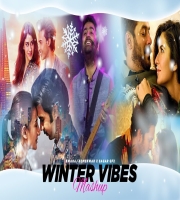 Winter Vibes Mashup (2024)