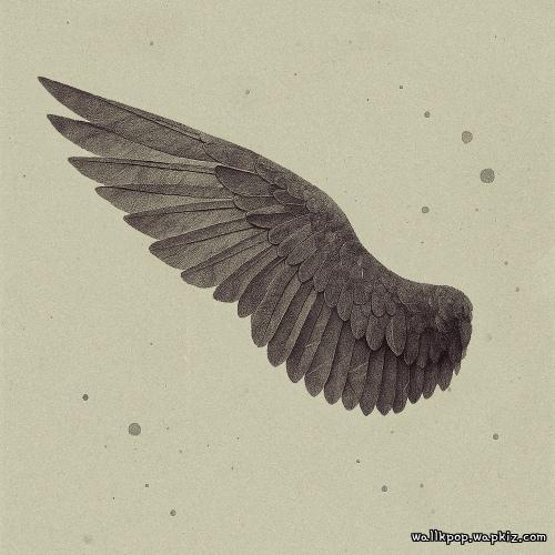 The Stray - 날개 (wing)