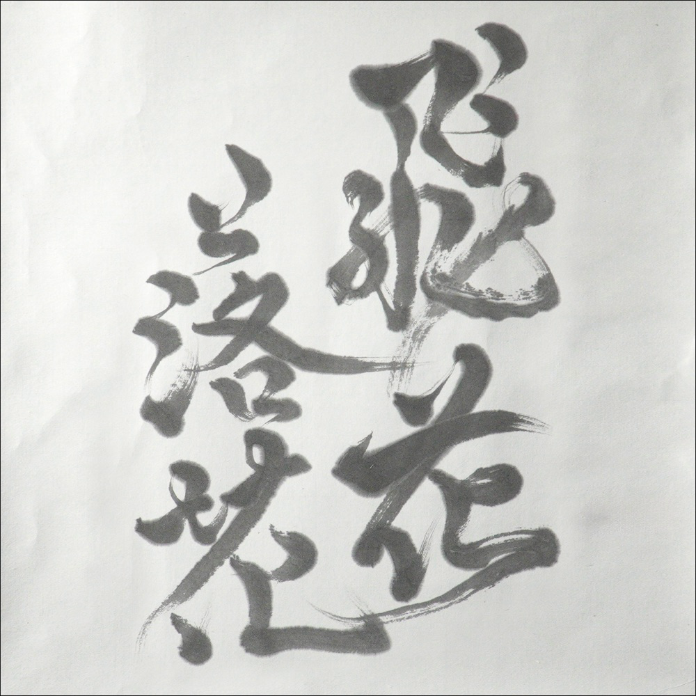 Cocco - Hikarakka