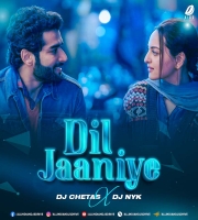 Dil Jaaniye (Lofi Mix)