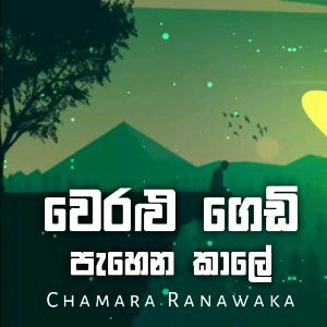 Weralu Gedi Pahena Kale (Remix) - DNBeats Remix