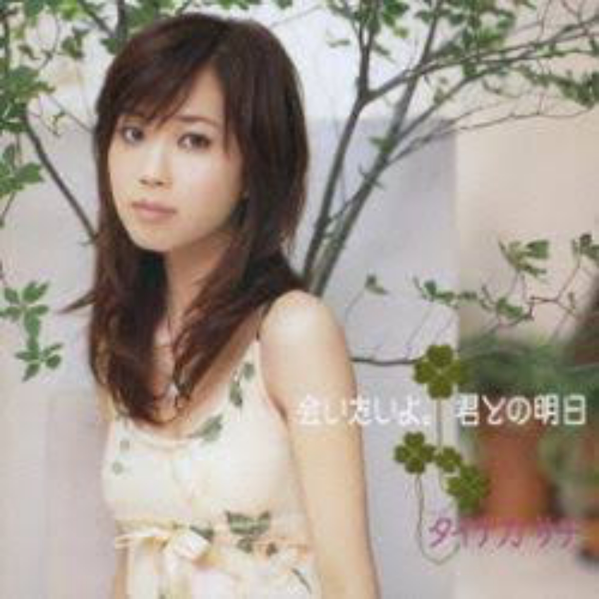 Tainaka Sachi - Kimi to no Ashita
