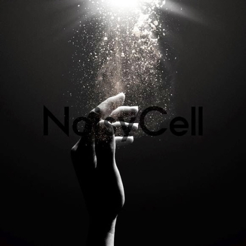 NoisyCell - Innocence