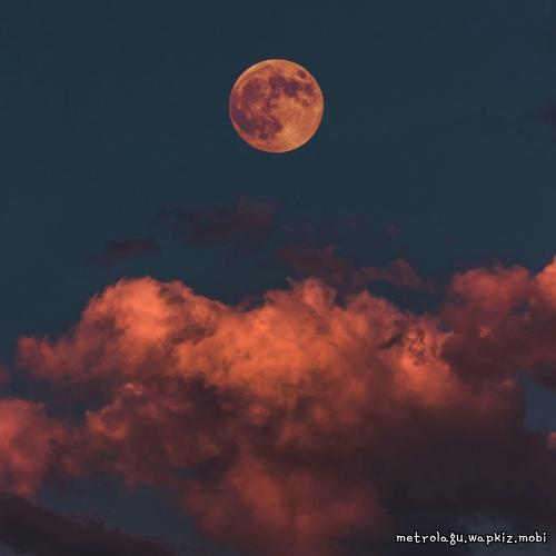 Letters to the Moon by Moon Rabbit