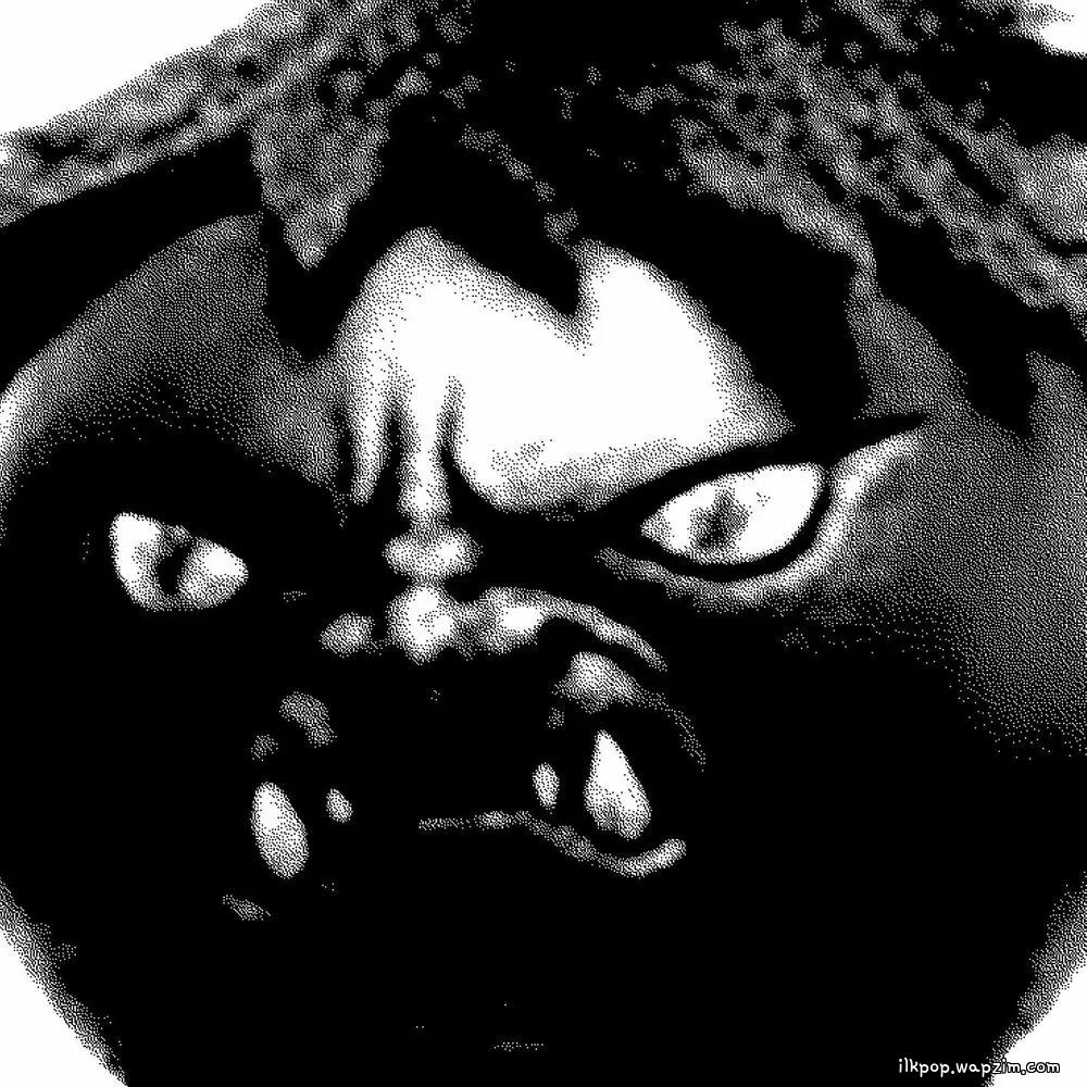 나가 살아봐라 (Go Forth and Learn to Live) by LEENALCHI