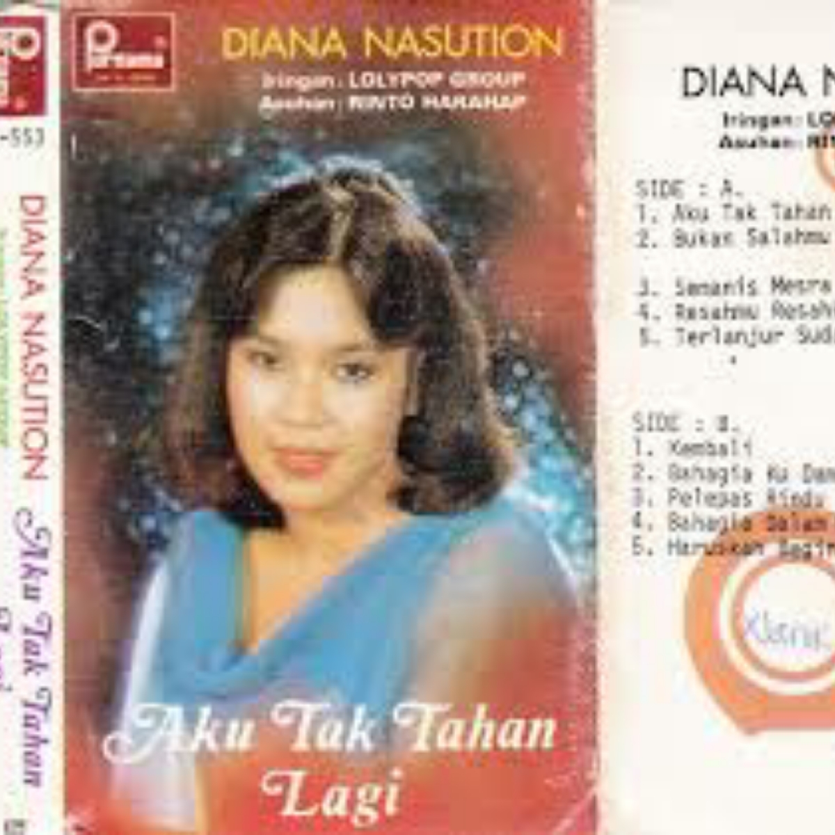 Diana Nasution - Bukan Salahmu Bukan Salahku Mp3