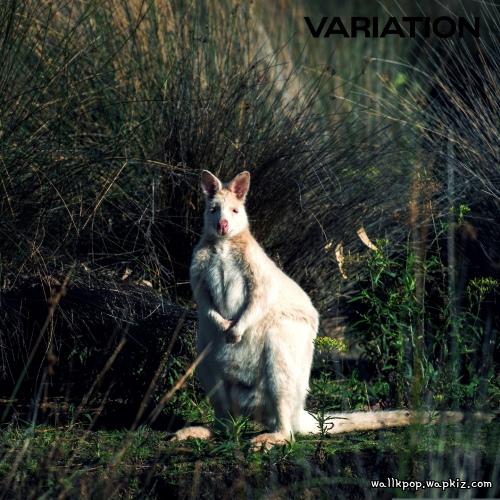 dubdubee - Crystal Clear Mp3